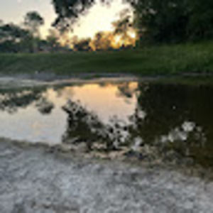 Meet your Posher, Avery